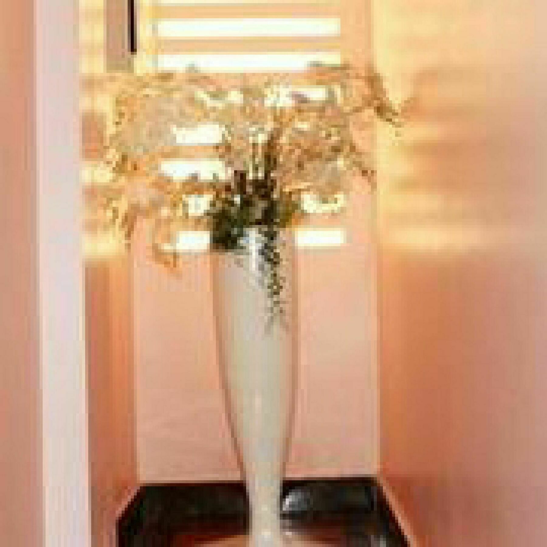 Guest house Nawin Palace